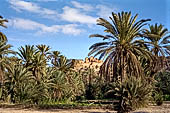 Marocco meridionale - La Kasbah di Tiout fa da sfondo alla palmeria (Taroudannt).